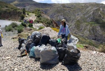 «Consciencia medioambiental «