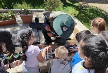 Las niñas y los niños del P1 cuidan los jardines del cole